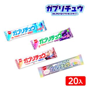 ガブリチュウ 20個入 駄菓子 お菓子 おかし 縁日 景品 問屋 お祭り 子供 おもちゃ 祭り 縁日用品 屋台 イベント