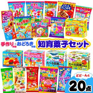 クラシエ 知育菓子セット 20点 ねるねるねるね ふしぎはっけん 作る 学ぶ 遊ぶ菓子 駄菓子 お菓子 おかし 縁日 景品 問屋 お祭り 子供｜festival-plaza