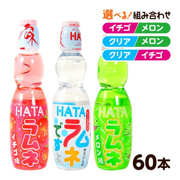 ハタ鉱泉 2つの味 セット ペットボトルラムネ 60本入 ラムネ 飲料 ラムネ飲料 業務用 送料無料...