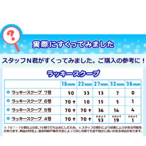 白箱 日本製 ラッキースクープ すくい枠 約 ...の詳細画像1