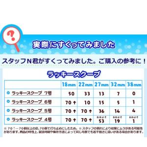 白箱 日本製 ラッキースクープ すくい枠 約 ...の詳細画像1
