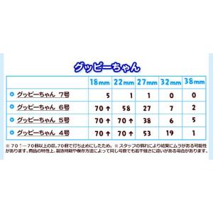 白箱 日本製 ラッキースクープ すくい枠 約 ...の詳細画像2