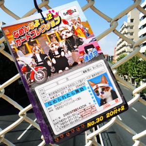 なめんなよ(なめ猫) カードコレクション ※バージョン指定不可※ 20付