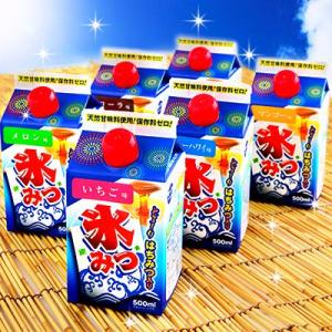 ご家庭用お手頃サイズ 氷みつ各種 500ミリリ...の詳細画像1
