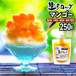 【かき氷シロップ 天然】 生シロップ ベストセ...の詳細画像4