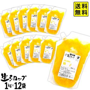 かき氷シロップ 天然】 マンゴー 業務用 1kg×12袋入 果実感たっぷり