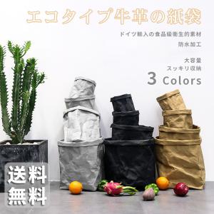 クラフト紙袋 S/M/L/XL サイズ 2枚入 洗える 収納 紙袋