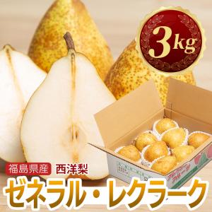 注文 洋梨 ゼネラル レクラーク　約３kg（約７〜９個）福島