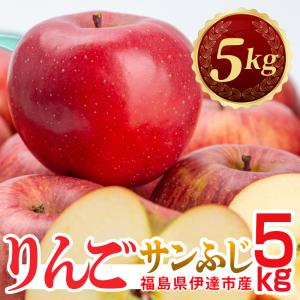 送料無料 あんぽ柿 蜂屋柿 9個入り（個包装）福島県伊達市 JAふくしま