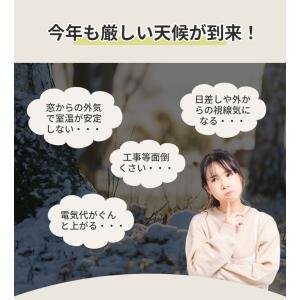 【オーダーできる】 冬暖房効果UP 防音シート...の詳細画像3