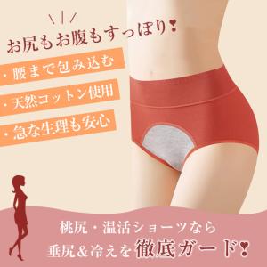 5枚 サニタリーショーツ ショーツ レギュラー...の詳細画像1