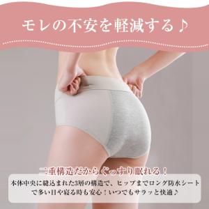5枚 サニタリーショーツ ショーツ レギュラー...の詳細画像5
