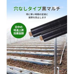 黒マルチ 厚さ0.02mm×幅95cm×長さ2...の詳細画像1