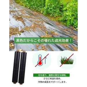 黒マルチ 厚さ0.02mm×幅95cm×長さ2...の詳細画像4