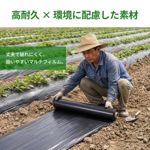 黒マルチ 厚さ0.02mm×幅95cm×長さ2...の詳細画像5
