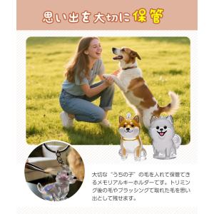 2個セット 1個590円 ペットの毛収納キーホ...の詳細画像1