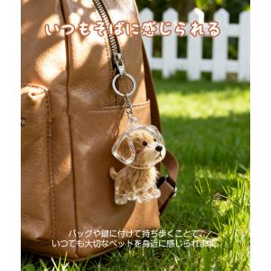 2個セット 1個590円 ペットの毛収納キーホ...の詳細画像2