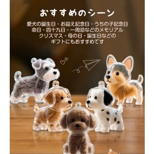 2個セット 1個590円 ペットの毛収納キーホ...の詳細画像5