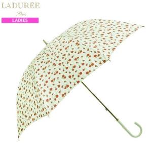 ☆【Les Secrets LADUREE】 ラデュレ ストライプ×ローズプリント 婦人