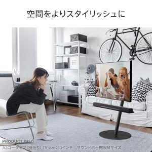 WALL テレビスタンド オプション A2ロー...の詳細画像4