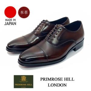 ビジネスシューズ ストレートチップ プリムローズヒル ロンドン PRIMROSE HILL LONDON 1511 ダークブラウン 日本製 本革 紳士靴 父の日 就職祝
