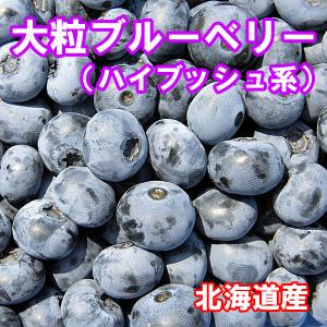 北海道の果実 令和5年収穫ハスカップ（冷凍）５００ｇ×２個 :ha-001