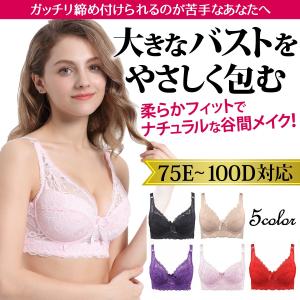 ブラジャー 大きいサイズ レース ワイヤー 大きいブラ グラマー つけ心地  かわいい セクシー ソフト レディース