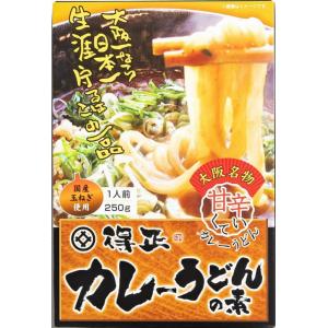 2個セット　大阪有名店　得正 カレーうどんの素 カレー関西コレクション レトルトカレー 有名店 行列店 甘辛い「中毒性」のある味 手軽に専門店クオリティ
