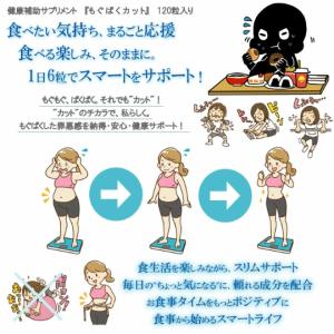 龍命丸 VALOS リュウメイガン ヴァロス 120粒 ルンブルクス末 食用赤