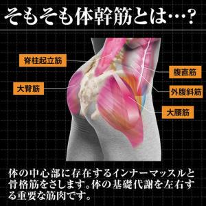 体幹 中敷き インソール ダイエット 骨盤 衝...の詳細画像5
