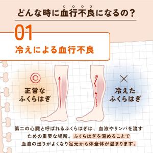 エナジーク活性ふくらはぎサポーターひらめちゃん...の詳細画像4