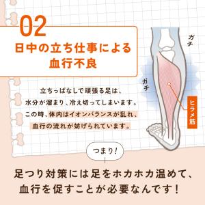 エナジーク活性ふくらはぎサポーターひらめちゃん...の詳細画像5