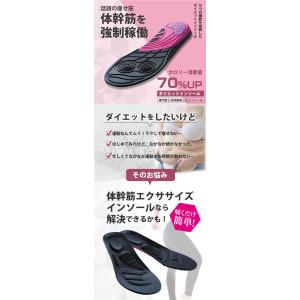 体幹筋エクササイズインソール ツインボール イ...の詳細画像1