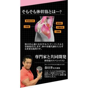 体幹筋エクササイズインソール ツインボール イ...の詳細画像3