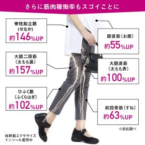 体幹筋エクササイズインソール ツインボール イ...の詳細画像5