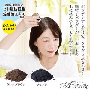 ひんやり気持ちいい　落ちにくいヘアパウダー 薄毛隠し パウダー 薄毛 ヘアファンデーション 白髪 薄毛対策 増毛パウダー 白髪隠し クイックヤング 送料無料｜fhsr0119