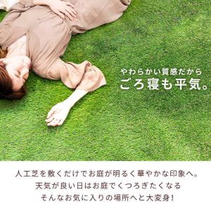 人工芝 ロール 1x10m 送料無料 芝生マッ...の詳細画像1