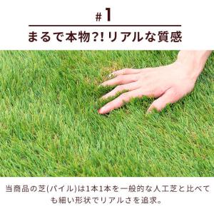 人工芝 ロール 1x10m 送料無料 芝生マッ...の詳細画像4