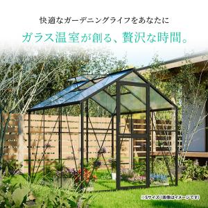 ガラス温室 サンルーム Mサイズ 大型物置 屋...の詳細画像1