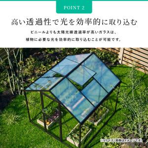 ガラス温室 サンルーム Mサイズ 大型物置 屋...の詳細画像5