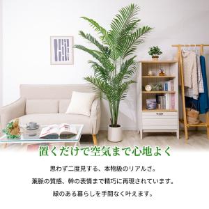ヤシの木 フェイクグリーン 光触媒フェイクグリ...の詳細画像1