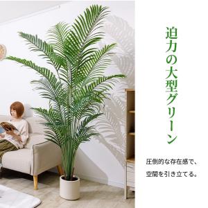 ヤシの木 フェイクグリーン 光触媒フェイクグリ...の詳細画像4