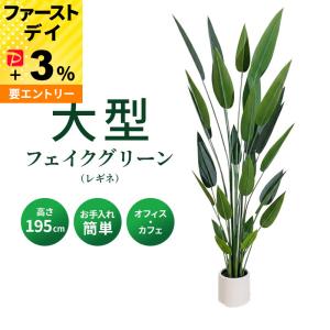 ストレリチア フェイクグリーン 光触媒フェイクグ...の商品画像