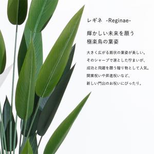 ストレリチア フェイクグリーン 光触媒フェイク...の詳細画像2