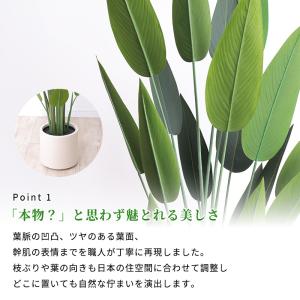 ストレリチア フェイクグリーン 光触媒フェイク...の詳細画像3