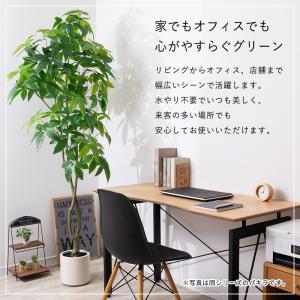 ストレリチア フェイクグリーン 光触媒フェイク...の詳細画像5