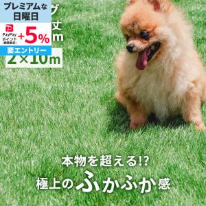 人工芝 2m x 10m 芝生マット 人工芝生 ...の商品画像