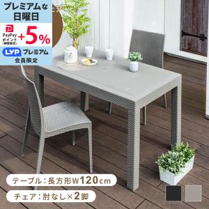 ガーデンファニチャー ガーデンテーブル 120×56cm 屋外 アルミ製 KAT