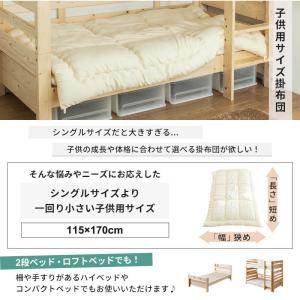 日本製 洗える 掛け布団 小さめ ジュニア ふ...の詳細画像1