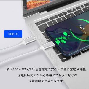 100W USB Type-C to Type...の詳細画像1